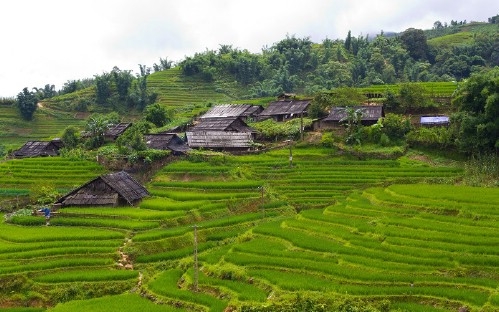 A Glimpse Of Sapa 2 Days 1 Night by Day Bus (Overnight at Homestay)