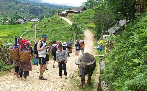 Sapa Active Adventure 3 Days 2 Nights by Day Bus (Overnight at Homestay)