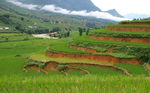 Highlights of Sapa 3 Days 2 Nights by Day Bus (1 Night at Homestay, 1 Night at Hotel)
