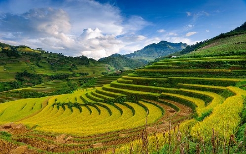Sapa Motorbike Tour 2 Days