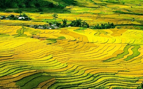 Medium Mountain Biking: Sapa - Ma Tra - Ta Phin - Tako - Trung Chai - Sapa